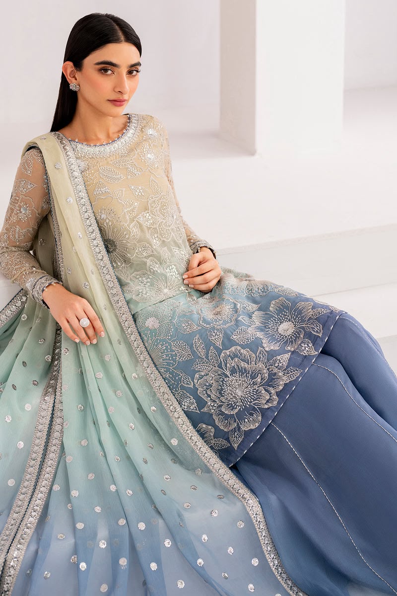 Heavy Embroidered Sequence Work Chiffon Tye & Dye
