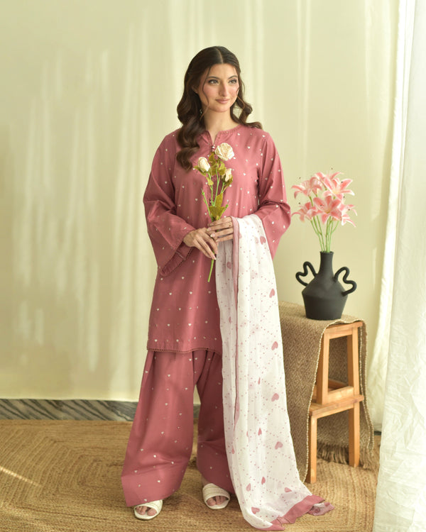 Soft Cotton Embroidered 3pc 