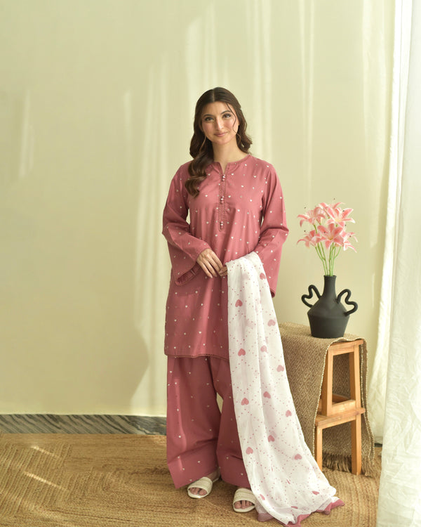 Soft Cotton Embroidered 3pc 