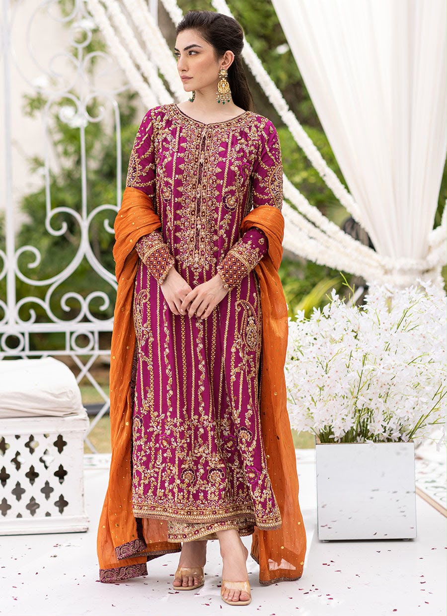 Wedding Edition Chiffon, Malai & Jamawar